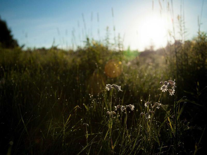 Landscape photography — Midlands countryside